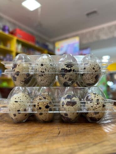 оптом курут: ✅ Бөдөнө жумуртка ✅ Өзүбүздүн эко формадан☝️ ❗Минималка 10 — 3