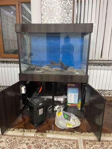 купить аквариумных рыбок в бишкеке: Продаю аквариум 300 литровый. В отличном состоянии — 2
