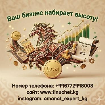 Бухгалтердик кызматтар | Салыктык отчеттуулукту даярдоо, Салыктык отчеттуулукту берүү, Консультация — 1