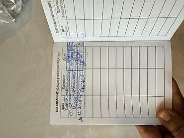 корги сабака: Колли, 6 месяцев, Самец, С прививкой — 7