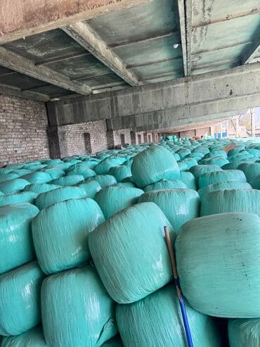 продажа щенков немецкой овчарки в бишкеке с документами: Продаем Силос — 2