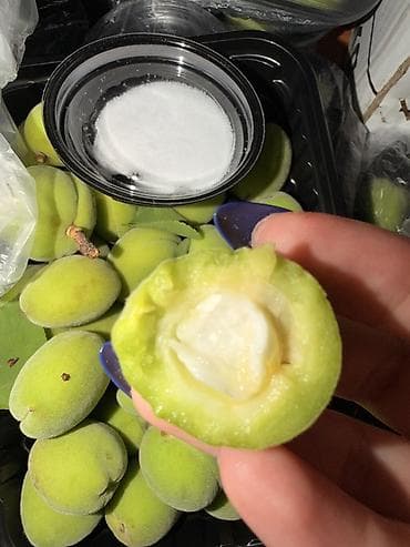 арбуз алам: Абрикосы В розницу — 1