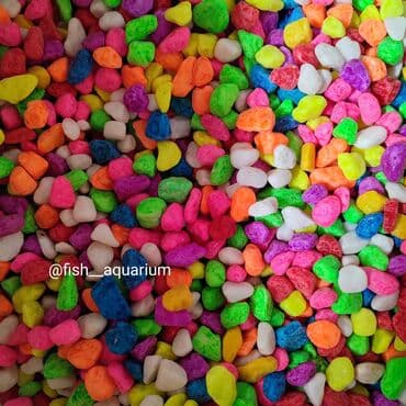 Собаки: Аквариумные пески. Грунты для аквариума. Большой выбор. Качественные — 1