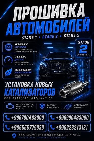 Профессиональная прошивка автомобилей и установка новых каталитаторов