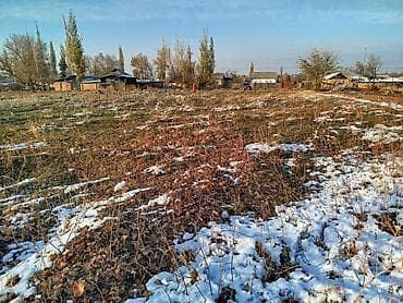 ысык куле: 14 соток, Кызыл китеп — 1
