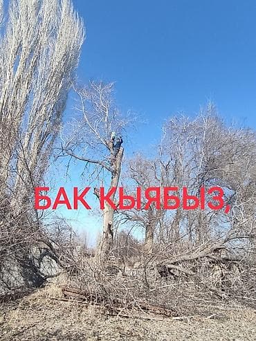 чоп ором: Бак кыябыз, отун аралайбыз,бак жыгабыз! Баасы келишим турдо. Цена — 1