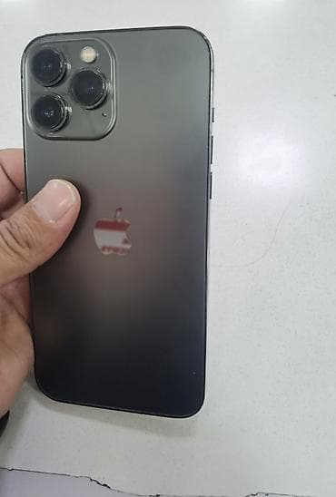 alcatel lucent: IPhone 13 Pro, Б/у, 1 ТБ, Графит, Чехол, 100 % — 3