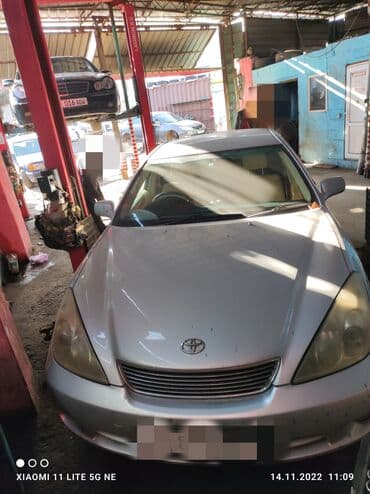 на виндом: Без выезда — 1