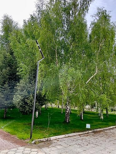 продом дом: 2 комнаты, 32 м², Элитка, 3 этаж, Евроремонт — 6
