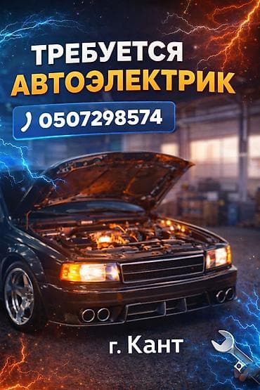 бу идиштер: Требуется авто електрик — 1