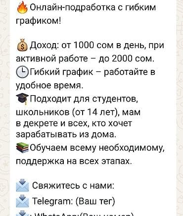 Сетевой маркетинг: Онлайн-подработка с гибким графиком - Доход: от 1000 сом в день, при — 1