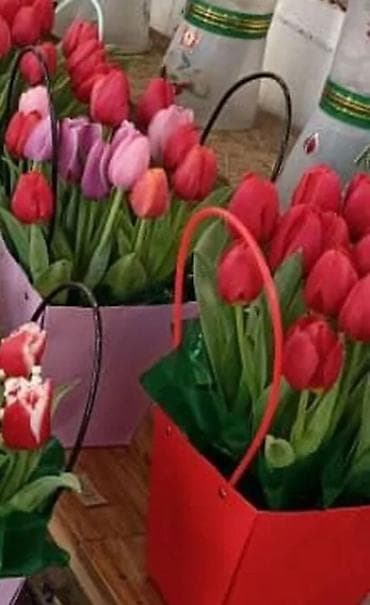 Ёлки: Тюльпаны в стильной упаковке и композициях - Срезанные тюльпаны — 1