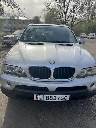 BMW X5: 2004 г., 3 л, Автомат, Дизель, Кроссовер