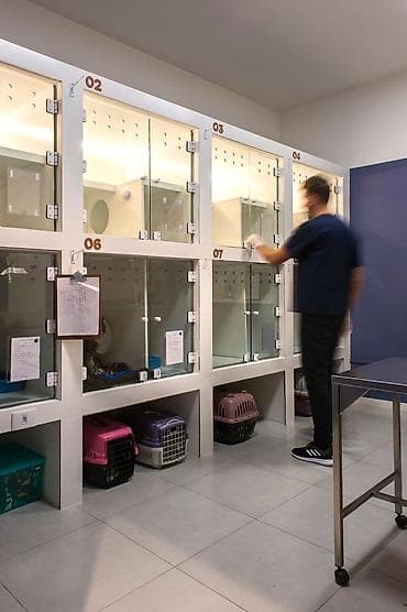 Животные: Требуется ветеринар. Женщина, опыт работы от 2 лет. Работа с 9-18 — 1