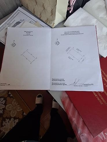 каретный двор: 5 соток, Красная книга — 1