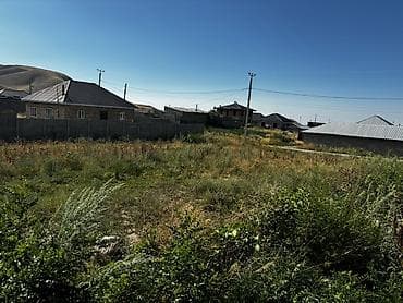 11 соток, Курулуш, Кызыл китеп — 1