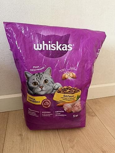 Продаю комплект для кошки/кота цена 3500 все вместе: 1) Сухой корм — 1