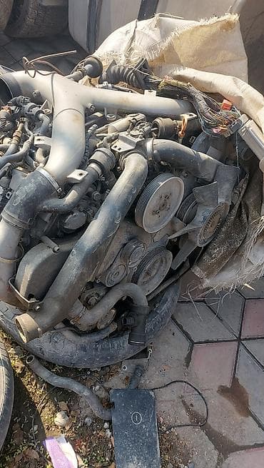 Цепи, ремни: Бензиновый мотор Audi 2.7 л — 2