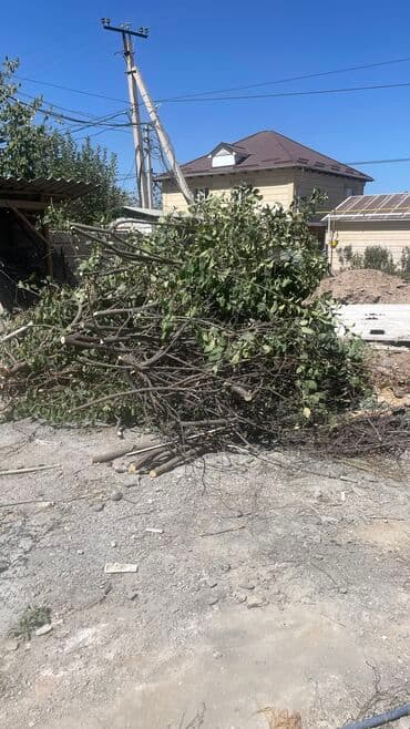 отдам даром мебель бишкек: Бекер берем — 1