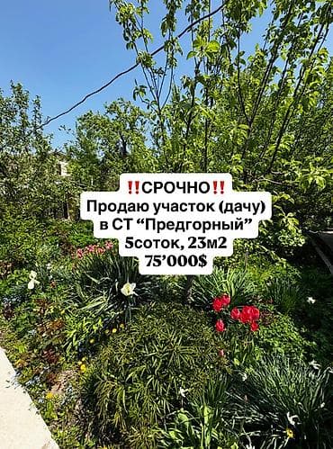 гик ош дома: 5 соток, Тех паспорт, Договор купли-продажи — 1