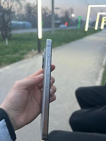 обмен н: IPhone 15 Pro Max, 256 ГБ, Серебристый, Зарядное устройство, Коробка, 87 % — 4