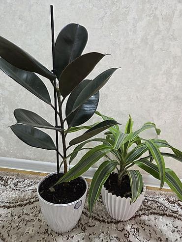 подка: Полка, этажерка для цветов, Новый, Железо, Самовывоз — 10