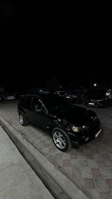 BMW: BMW X5: 2003 г., 3 л, Автомат, Дизель, Кроссовер — 9