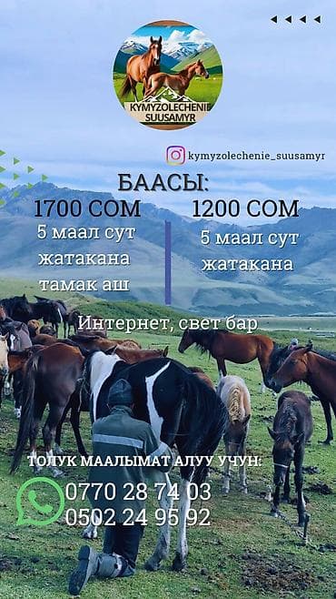 тур в дубай: Кумысолечебница «Бекзат» Услуга: - Кумысолечение на жайлоо Суусамыр — 2