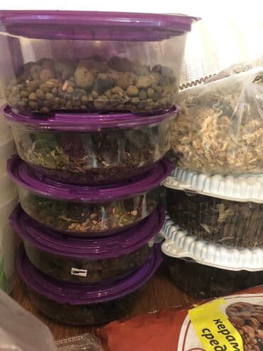 аквариумный грунт: Все для орхидей. керамзит (мелкий и средний), кора разных фракций — 8