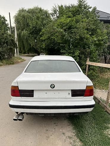е34 дверь: BMW 5 series: 1990 г., Седан — 2