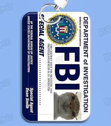 Бижутерия: Забавный брелок‑удостоверение с дизайном «FBI Special Agent» и фото — 1