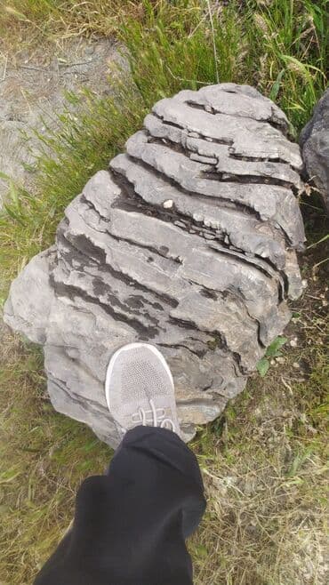 все для декора: Декор для дома и сада — 6