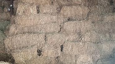 ящик для муки: Чистый клейвер, имеется 2000 штук, возможен обмен!! — 1