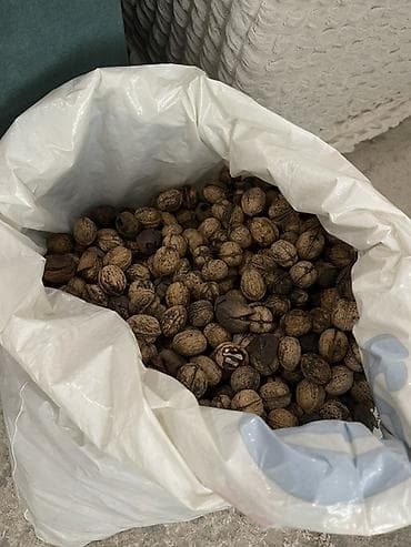 Молочные продукты и яйца: Грецкие орехи в скорлупе 5кг - Цельные, неочищенные орехи с крепкой — 2