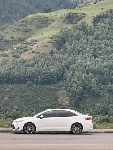 Toyota Corolla: 2022 г., 1.8 л, Гибрид, Седан — 5