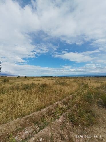 аренда дома на иссык куле: 66 соток, Для сельского хозяйства, Тех паспорт, Договор купли-продажи, Генеральная доверенность — 1