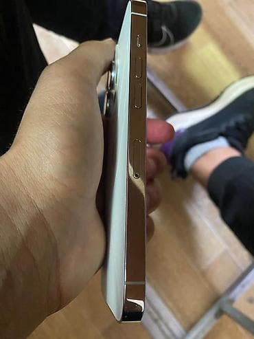 phone 6s: IPhone 14 Pro, 256 ГБ, Серебристый — 1
