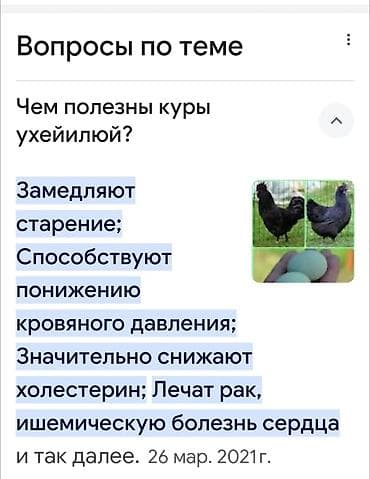 петух ош: Продаю | Цыплята, Инкубационные яйца | Для разведения — 3