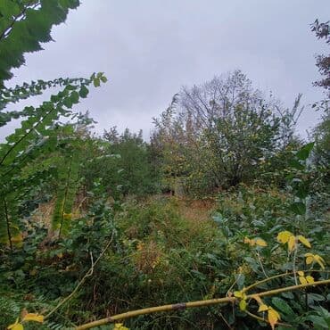 участок дом в селе байтик: 5 соток, Для строительства, Красная книга — 13