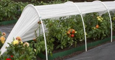 сколько стоит построить теплицу на 10 соток: Парник тоннельного типа. Парник предназначен для выращивания — 5