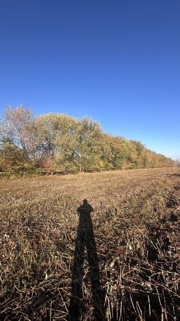 двер бишкек: Отун Карагач — 9