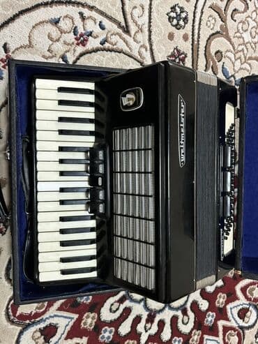 микрофон для пк: Аккордеон Weltmeister Stella 
Абалы жакшы — 4