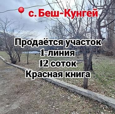 продю: 12 соток, Для строительства, Договор купли-продажи, Красная книга, Тех паспорт — 1