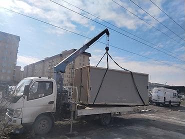 Жаанын 6 м, 2 т., Борттун 4 кг