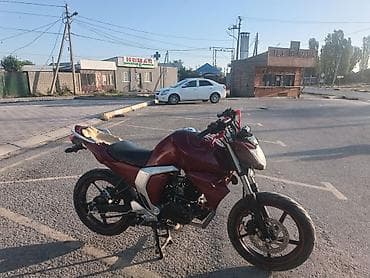 продаю гос номер сертификат: Naked Yamaha, 250 куб. см, Бензин, Взрослый, Б/у — 3