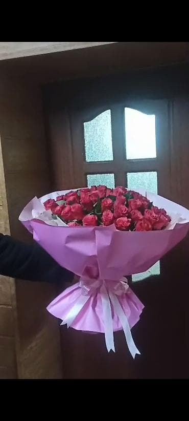 Бөлмө өсүмдүктөрү: Акция 51 роза 1900‼️Дешево Розы букеты оптом и в розницу 24/7 доставка — 2