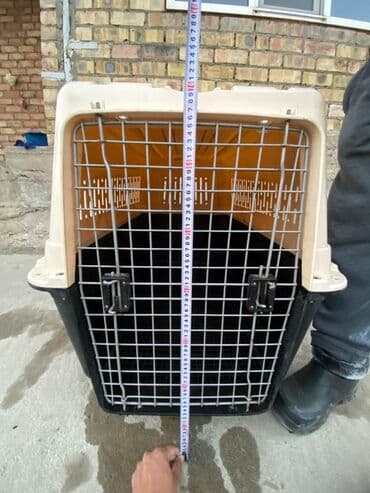 ошейники для кошек: Продаю или меняю автопереноску . Параметры длина -110 см, высота 75 — 8