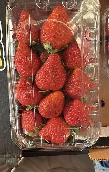 клубника россада: Клубника Египет коробка 3 КГ — 2