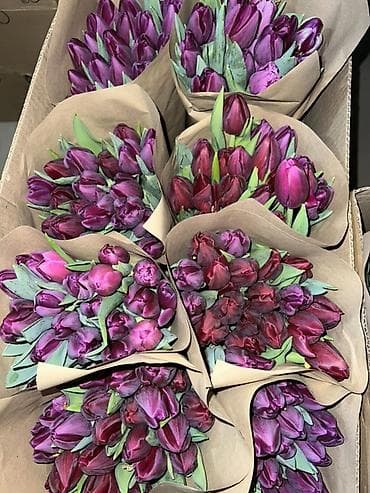 садовые цветы в бишкеке: Тюльпаны в крафт-упаковке — оптовые и розничные букеты. - — 3