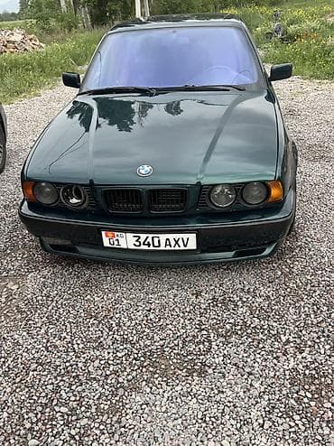 BMW 5 series: 1995 г., 4.4 л, Механика, Бензин, Седан